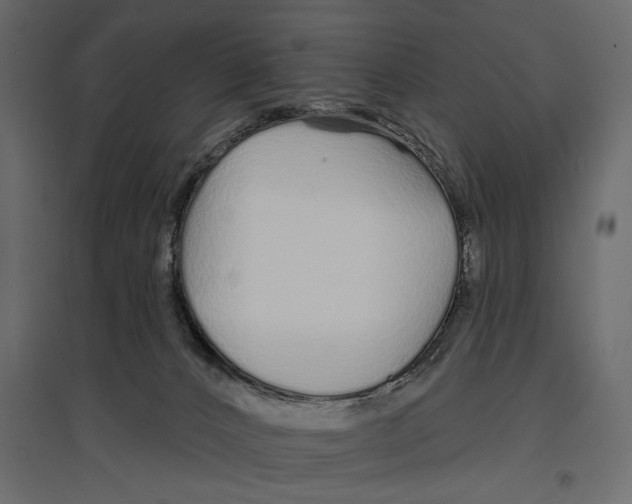 X0000096970032200803071017