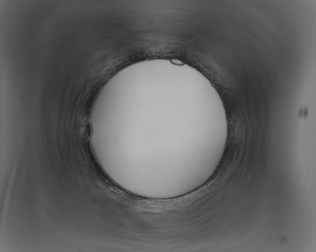 X0000096970033200803071017