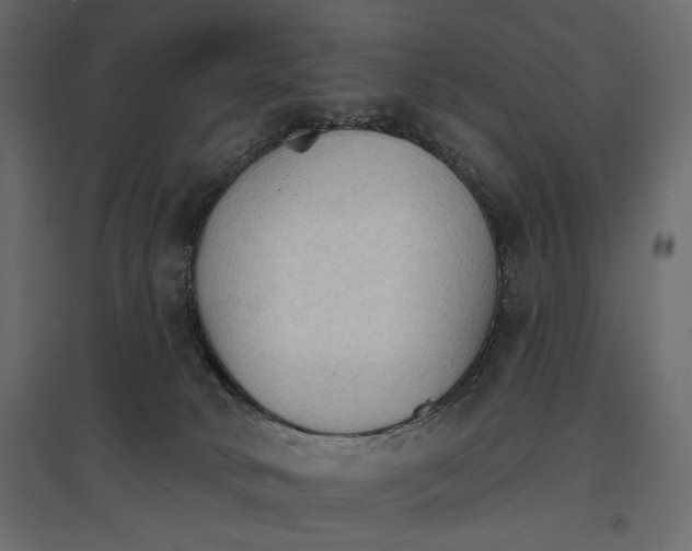 X0000096970034200803071017
