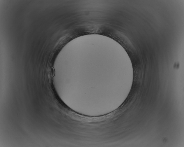 X0000096970035200803071017