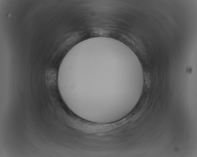 X0000096970036200803071017