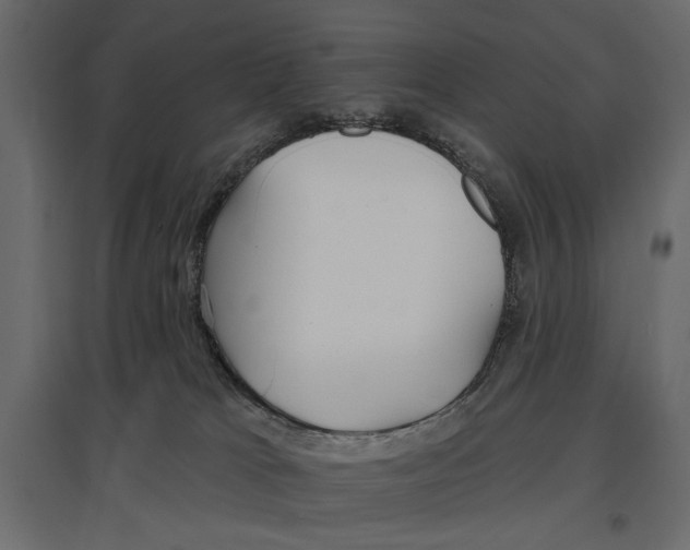 X0000096970037200803071017