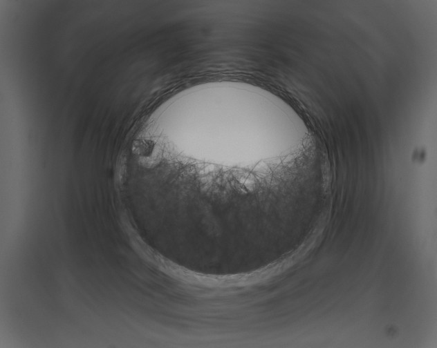 X0000096970038200803071017