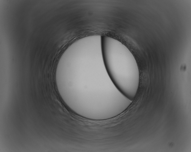 X0000096970039200803071017