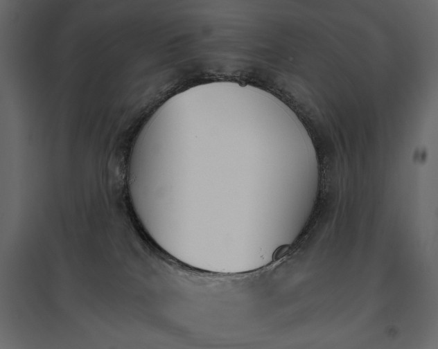 X0000096970040200803071016