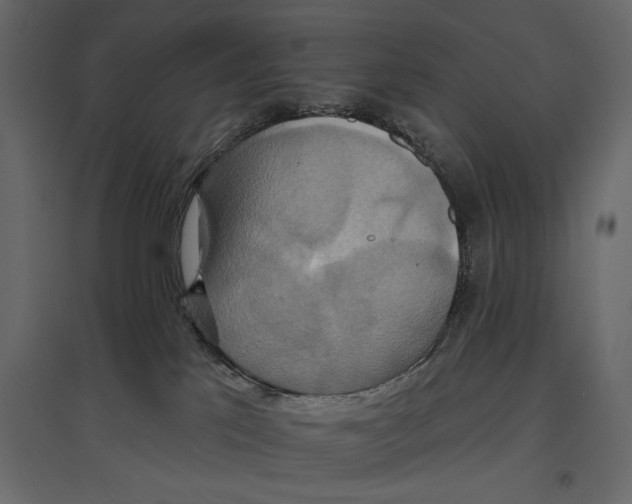 X0000096970041200803071016