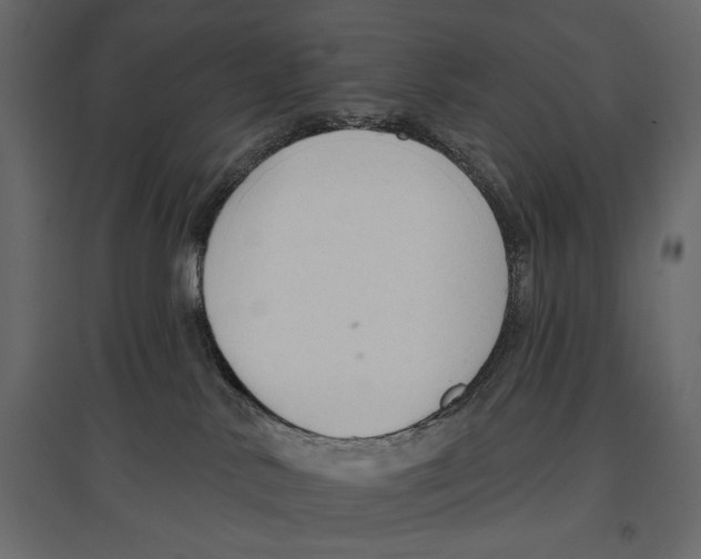 X0000096970042200803071016