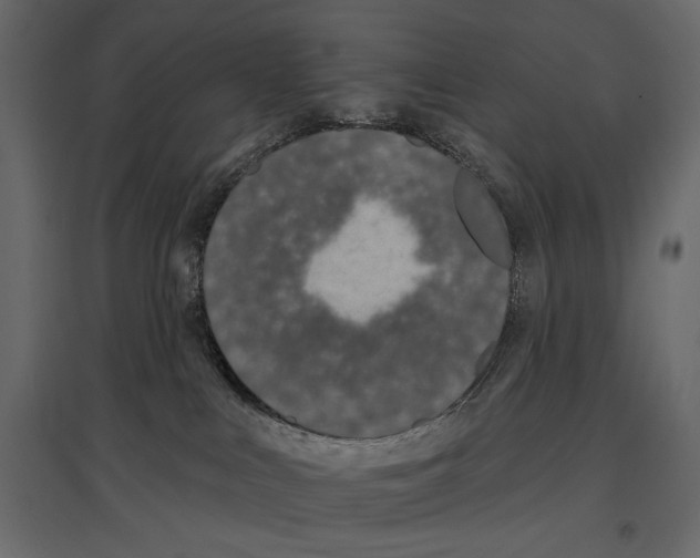 X0000096970043200803071016