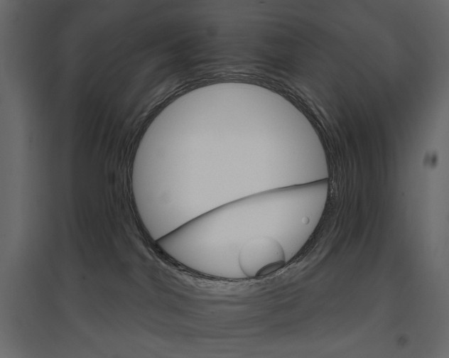 X0000096970044200803071016