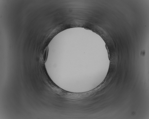 X0000096970045200803071016