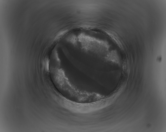 X0000096970046200803071016