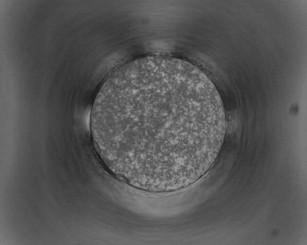 X0000096970047200803071016