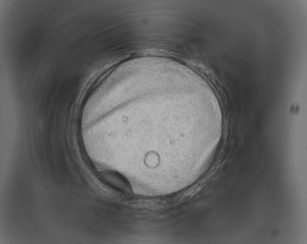 X0000096970049200803071016