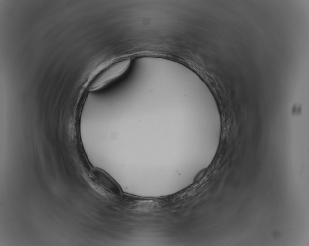 X0000096970050200803071016