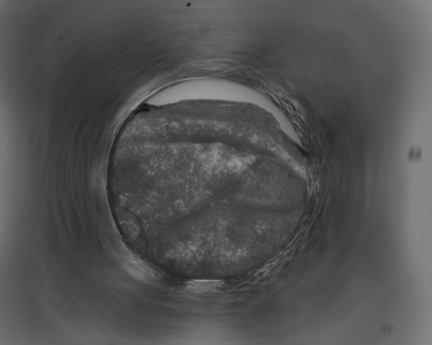 X0000096970051200803071016