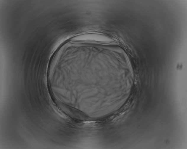 X0000096970052200803071016