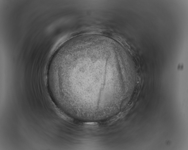 X0000096970053200803071016