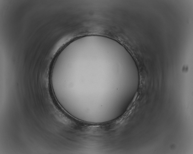 X0000096970054200803071016