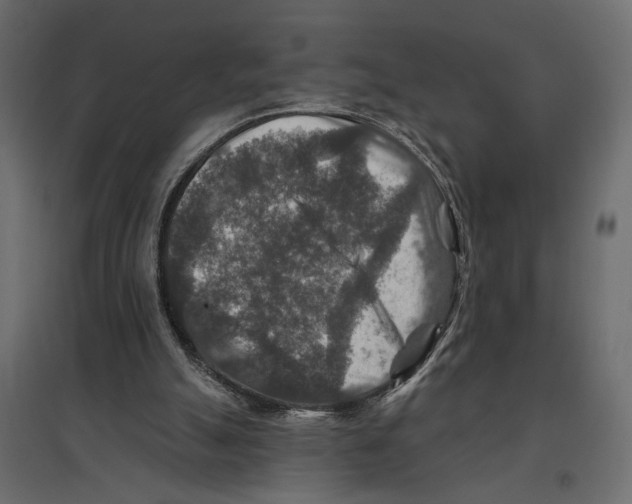X0000096970055200803071016