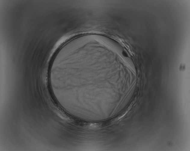 X0000096970056200803071016