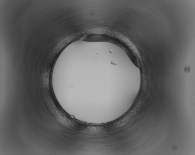 X0000096970057200803071016