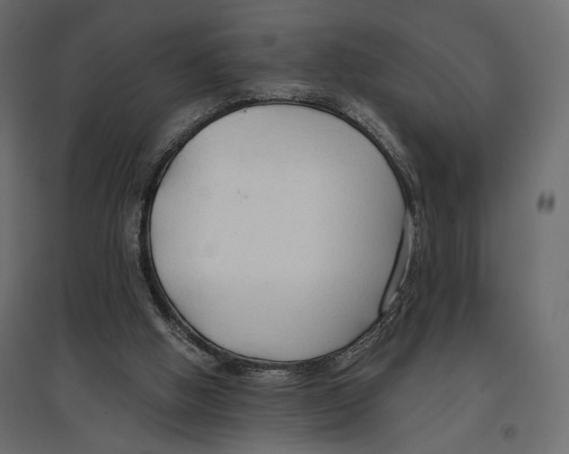 X0000096970058200803071016