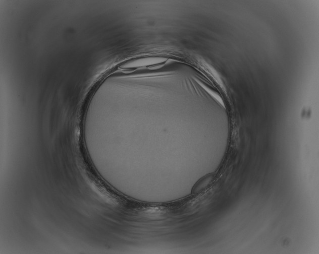 X0000096970059200803071016
