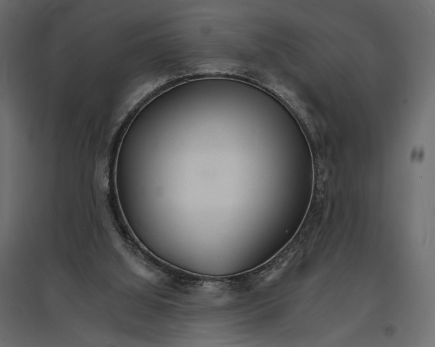 X0000096970060200803071016