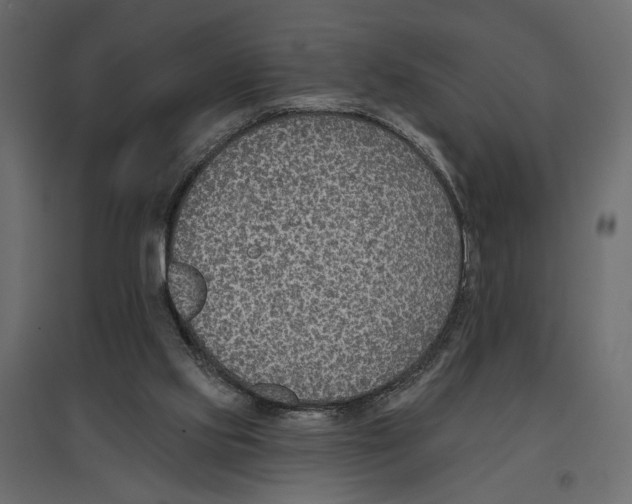 X0000096970061200803071016