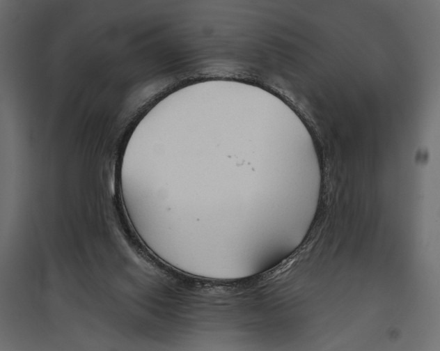 X0000096970062200803071016