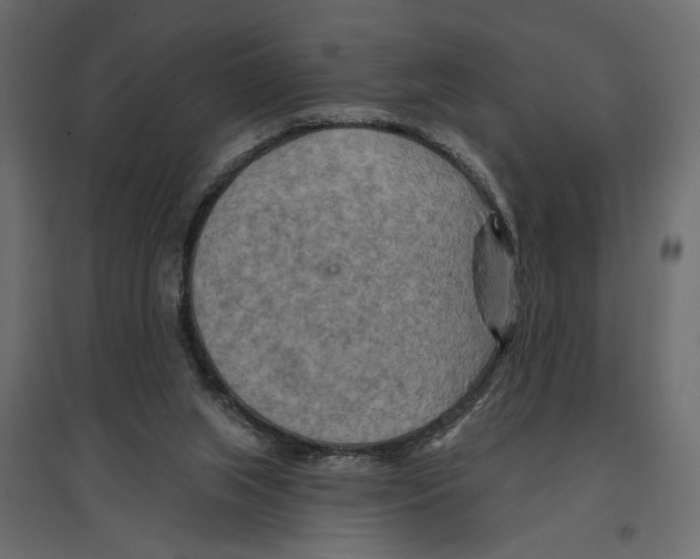 X0000096970063200803071016