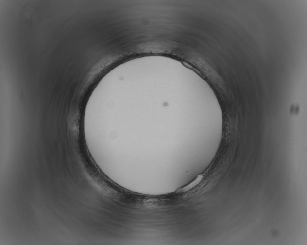 X0000096970064200803071016