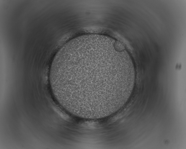 X0000096970065200803071016