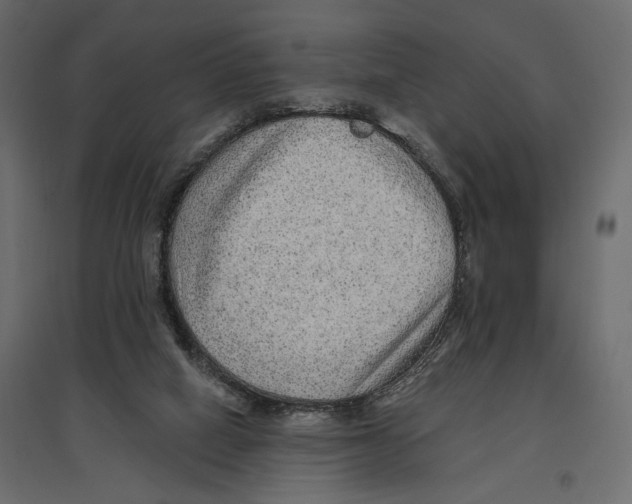 X0000096970066200803071016