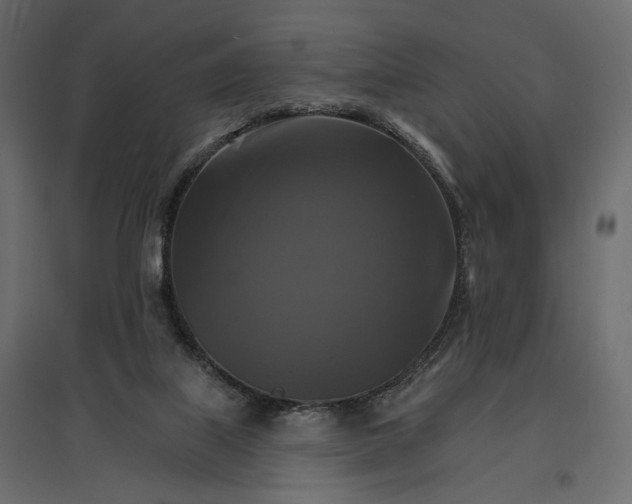 X0000096970067200803071016