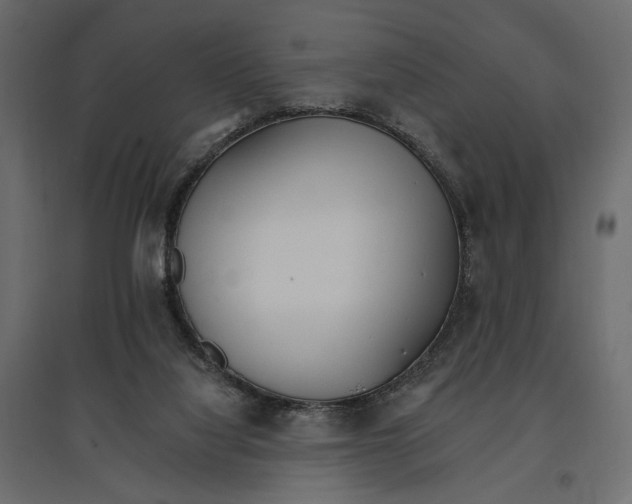 X0000096970068200803071016