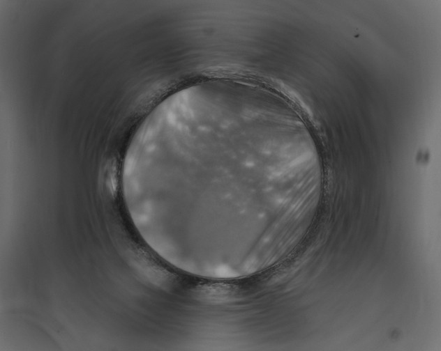 X0000096970069200803071016