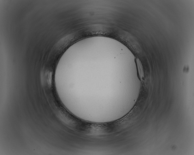 X0000096970070200803071016