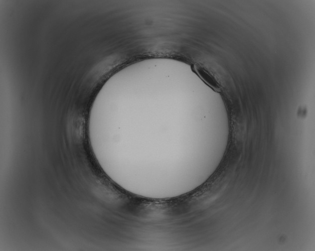 X0000096970071200803071016