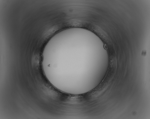 X0000096970072200803071016