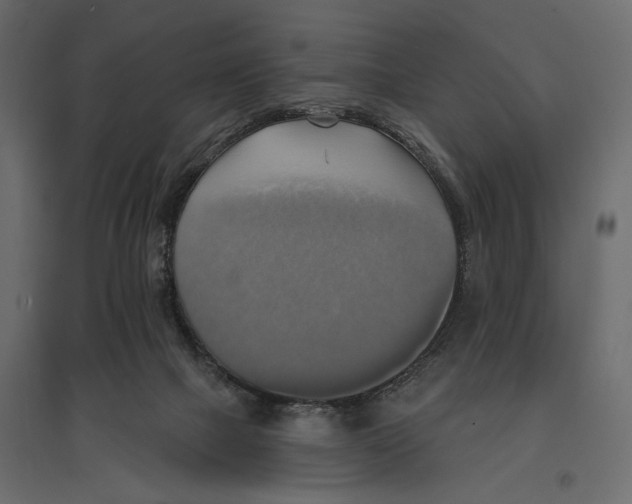 X0000096970073200803071016