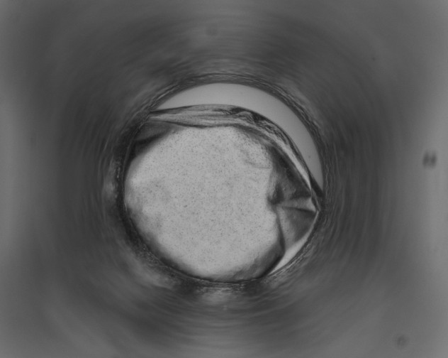 X0000096970074200803071016