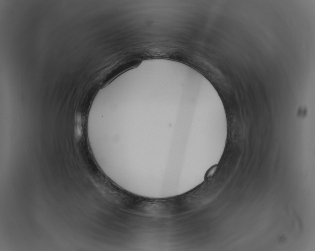 X0000096970075200803071016