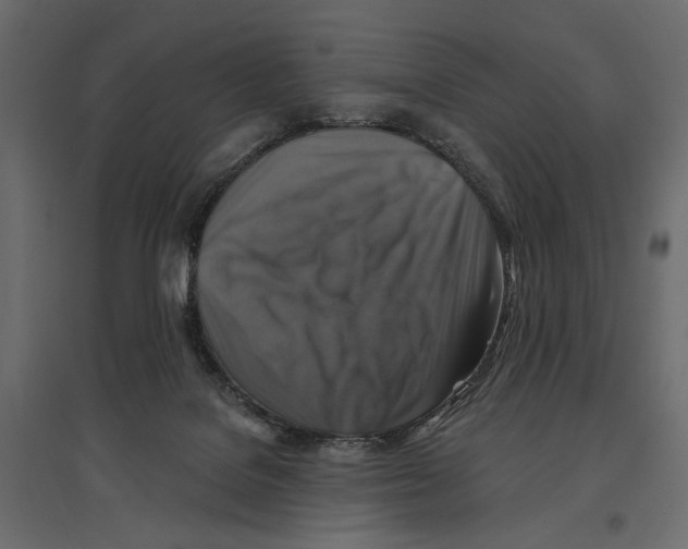 X0000096970076200803071016