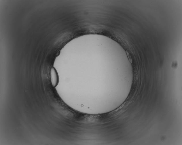 X0000096970078200803071016