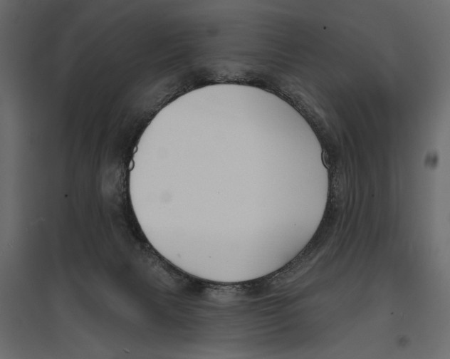 X0000096970079200803071016