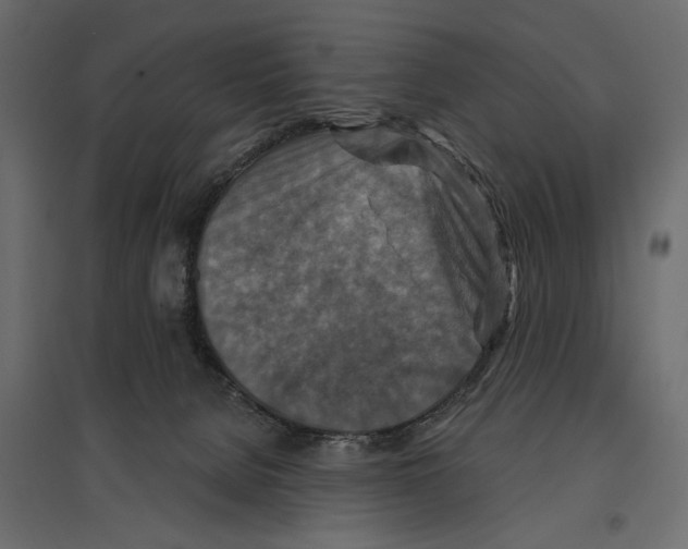X0000096970080200803071016