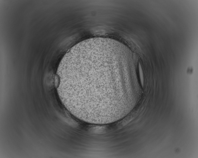 X0000096970081200803071016