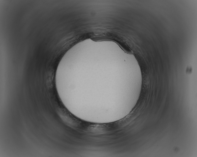 X0000096970082200803071016