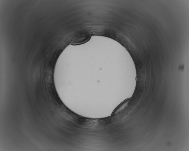 X0000096970083200803071016
